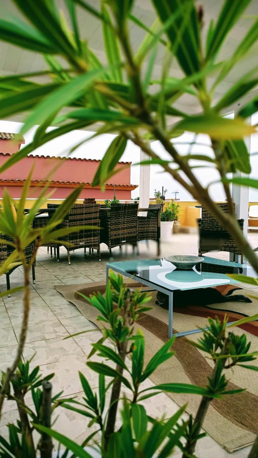 Domos Le Due Tuie Bed & Breakfast Piscinas Ngoại thất bức ảnh